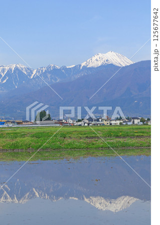 春の安曇野と北アルプス 春の安曇野と北アルプス 125677642