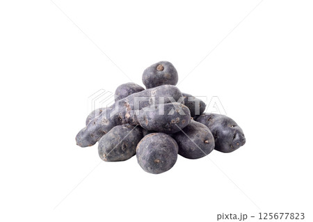 Concept of unusual vegetable - purple potato vegetable, isolated on white background Concept of unusual vegetable - purple potato vegetable, isolated on white background 125677823