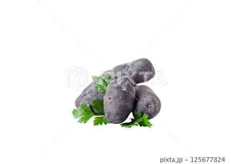 Concept of unusual vegetable - purple potato vegetable, isolated on white background Concept of unusual vegetable - purple potato vegetable, isolated on white background 125677824