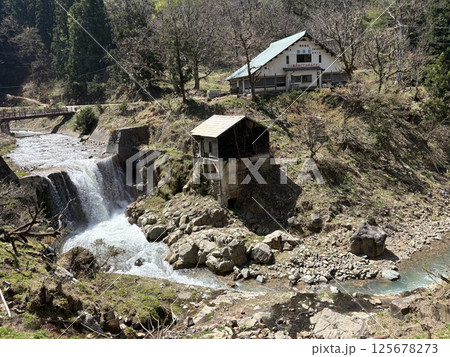 湯田中支部温泉郷_ 渋の地獄谷噴泉_日本猿が入る温泉 湯田中支部温泉郷_ 渋の地獄谷噴泉_日本猿が入る温泉 125678273
