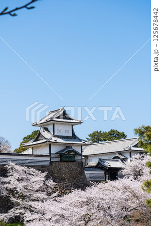 晴れの青空と満開の桜と金沢城公園の石川門｜兼六園・金沢城石川門｜金沢観光素材｜石川県金沢市 125678442