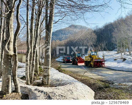 早春の残雪残る白樺の林_奥志賀高原 早春の残雪残る白樺の林_奥志賀高原 125678469