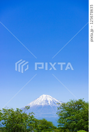 晴れた日に、山頂上に見える冠雪した富士山 125678635