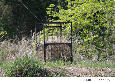 草だらけになった箱わな 125678801