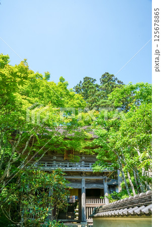 輝く新緑の中、見事な山門がそびえ立つ。岡山県真庭市「花の山寺・普門寺」 125678865