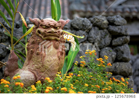 沖縄の守り神シーサーと石垣の風景　石垣島の休日 125678968