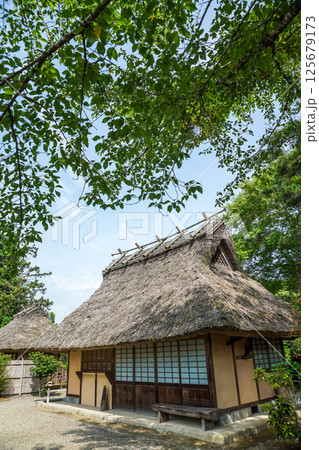 新緑をまとっている茅葺き屋根の建物。日本の原風景。岡山県真庭市「花の山寺・普門寺」 125679173