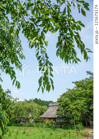 新緑をまとっている茅葺き屋根の建物。日本の原風景。岡山県真庭市「花の山寺・普門寺」 新緑をまとっている茅葺き屋根の建物。日本の原風景。岡山県真庭市「花の山寺・普門寺」 125679174