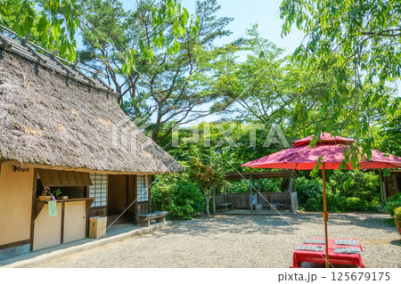 新緑をまとっている茅葺き屋根の建物。日本の原風景。岡山県真庭市「花の山寺・普門寺」 125679175