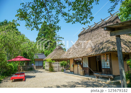 新緑をまとっている茅葺き屋根の建物。日本の原風景。岡山県真庭市「花の山寺・普門寺」 125679182