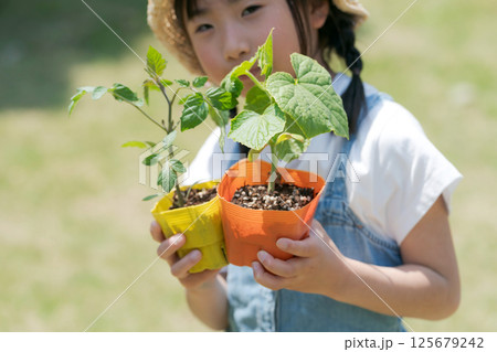 野菜の苗を持つ女の子 野菜の苗を持つ女の子 125679242