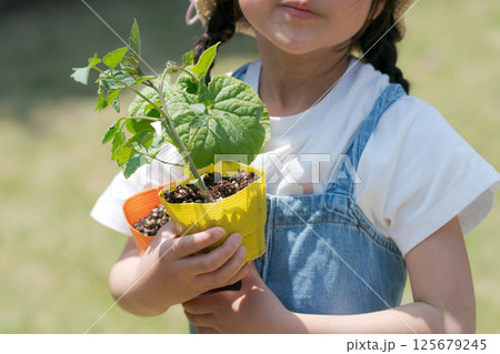 野菜の苗を持つ女の子 125679245