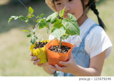 野菜の苗を持つ女の子 125679246
