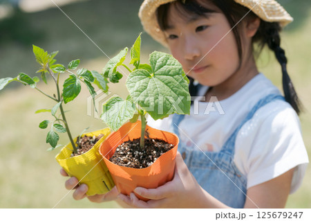野菜の苗を持つ女の子 125679247