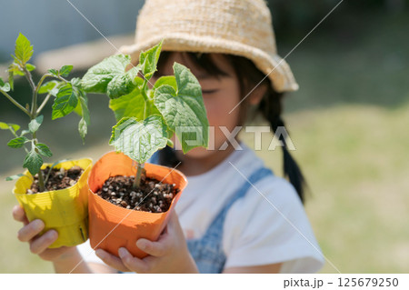 野菜の苗を持つ女の子 125679250
