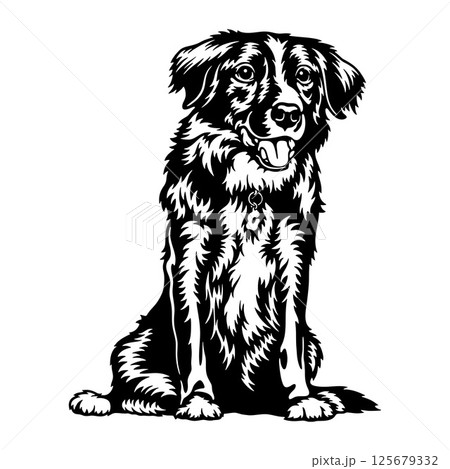 Border Collie Dog Breed - Pet Vector Cut file, Dog Silhouette Stencil - Cricut file 125679332