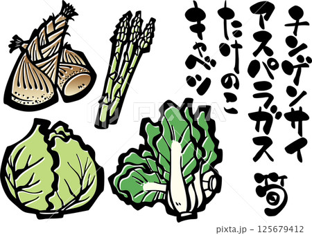 野菜イラスト＜春・青梗菜・アスパラガス・キャベツ・筍・筆文字＞ 125679412