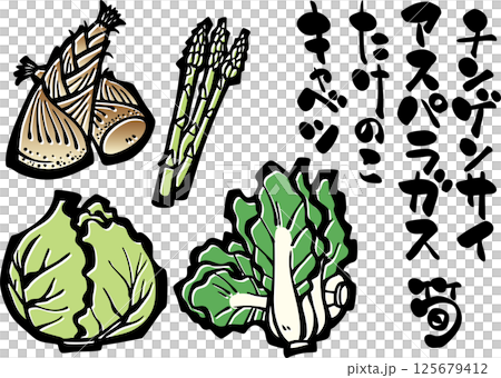 蔬菜插畫<春天、高麗菜、蘆筍、高麗菜、竹筍、書法> 蔬菜插畫<春天、高麗菜、蘆筍、高麗菜、竹筍、書法> 125679412