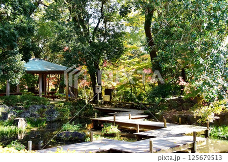 静岡県 三島市立公園楽寿園の池と散策路と紅葉と東屋 静岡県 三島市立公園楽寿園の池と散策路と紅葉と東屋 125679513