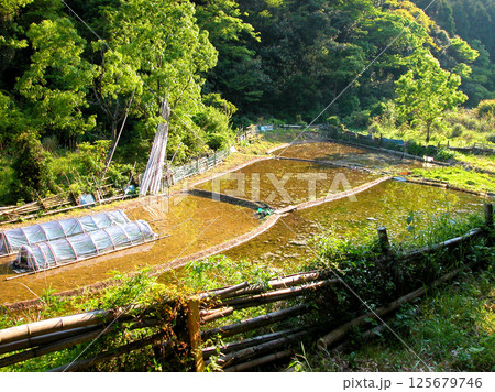 田植え前の風景 125679746