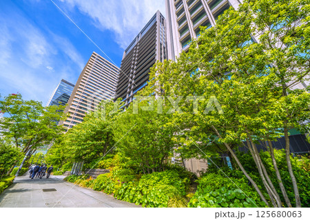 日本の東京都市景観 5月・内堀通り側から緑に溢れる「大手町ホトリア」などを望む 日本の東京都市景観 5月・内堀通り側から緑に溢れる「大手町ホトリア」などを望む 125680063