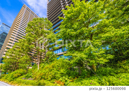 日本の東京都市景観 5月・内堀通り側から緑に溢れる「大手町ホトリア」などを望む 日本の東京都市景観 5月・内堀通り側から緑に溢れる「大手町ホトリア」などを望む 125680098