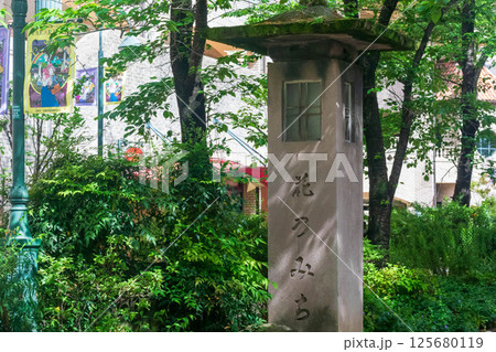 花のみち 125680119