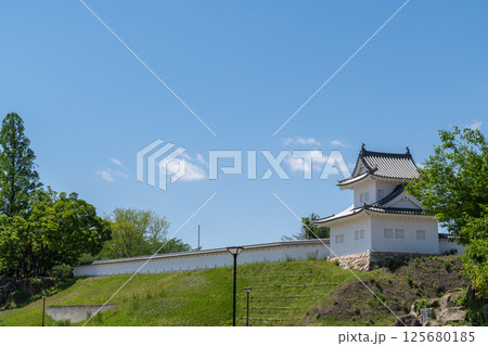 東隅櫓(岡崎城公園 愛知県岡崎市) 東隅櫓(岡崎城公園 愛知県岡崎市) 125680185