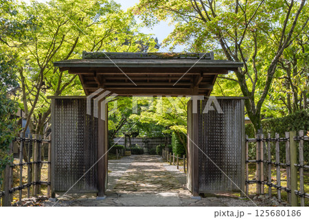 岡崎城公園の新緑（岡崎城公園城南亭付近　愛知県岡崎市） 125680186