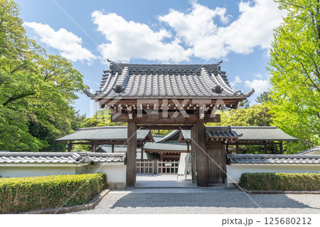 岡崎城二の丸能楽堂（岡崎城公園　愛知県岡崎市） 125680212