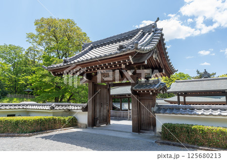 岡崎城二の丸能楽堂(岡崎城公園 愛知県岡崎市) 岡崎城二の丸能楽堂(岡崎城公園 愛知県岡崎市) 125680213