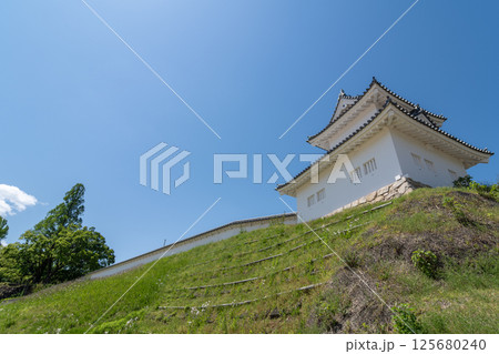 東隅櫓(岡崎城公園 愛知県岡崎市) 東隅櫓(岡崎城公園 愛知県岡崎市) 125680240