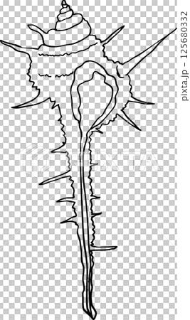 貝殼、海螺 125680332