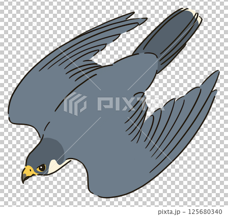 俯衝獵鷹的插圖 125680340
