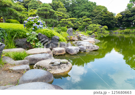 清澄庭園　磯渡り 125680663