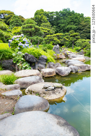 清澄庭園 磯渡り 清澄庭園 磯渡り 125680664