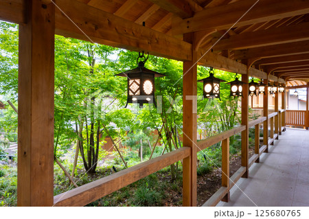 埼玉県川越市　氷川神社 125680765