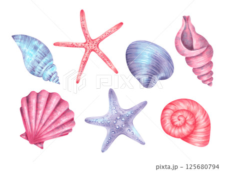 Set of seashells, starfish. Watercolor illustration of underwater elements twisted spiral shell, scallop and clam. Hand drawn isolated art. For the design of marine themes, children's products. 125680794
