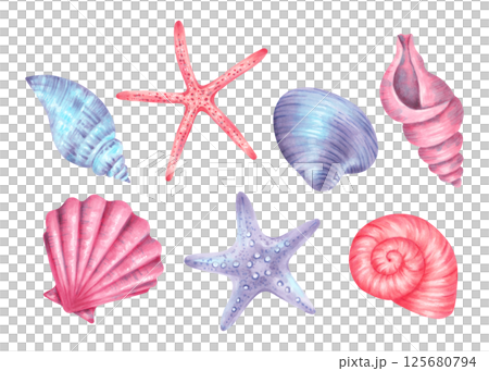 Set of seashells, starfish. Watercolor illustration of underwater elements twisted spiral shell, scallop and clam. Hand drawn isolated art. For the design of marine themes, children's products. 125680794