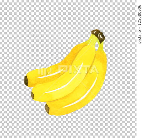 1房の黄色いバナナ　フルーツの手描き水彩イラスト素材 125680906