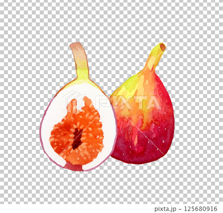無花果切成兩半 — — 手繪水彩水果插圖 125680916
