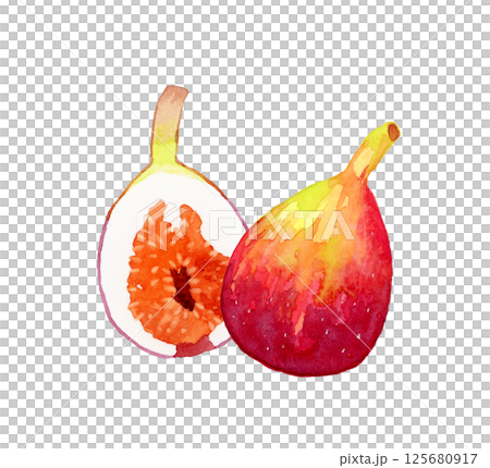 Fig cut in half - hand-drawn watercolor illustration of fruit 125680917