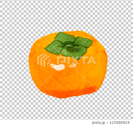 柿　フルーツの手描き水彩イラスト素材 125680924
