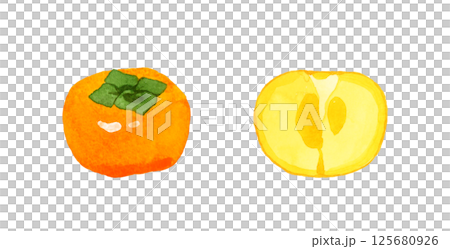 Persimmon cut in half - Hand-drawn watercolor illustration of fruit 125680926