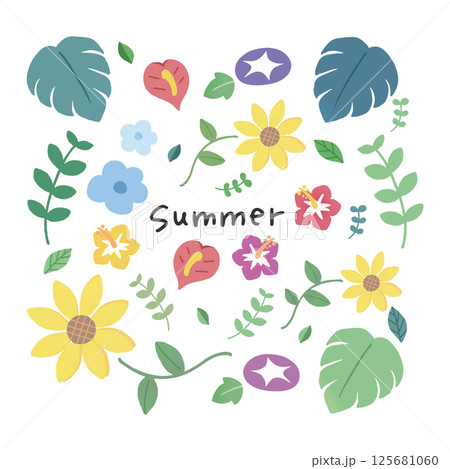 夏のかわいい花のイラストセット 125681060