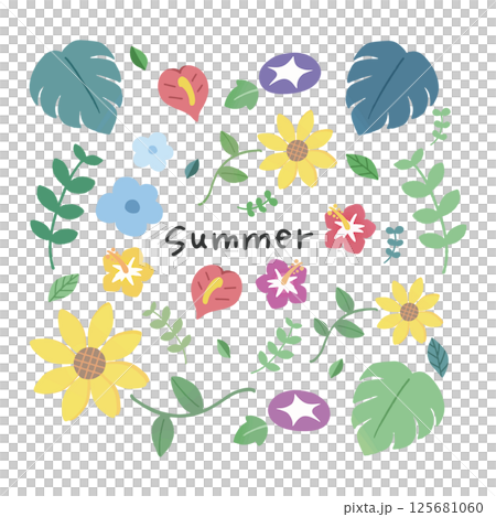 夏のかわいい花のイラストセット 125681060