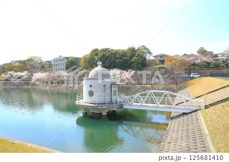 貯水池の春2 125681410