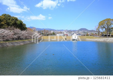貯水池の春1 貯水池の春1 125681411