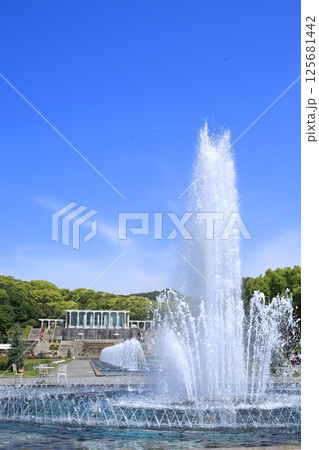 噴水のある公園 125681442