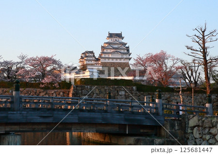 世界文化遺産姫路城の夕景 世界文化遺産姫路城の夕景 125681447